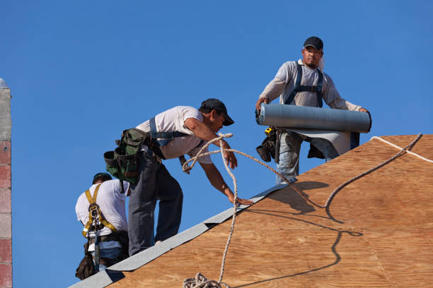Best Gutter Installation and Roofing  in Murphy, TX