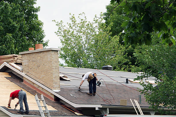 Best Roof Gutter Cleaning  in Murphy, TX